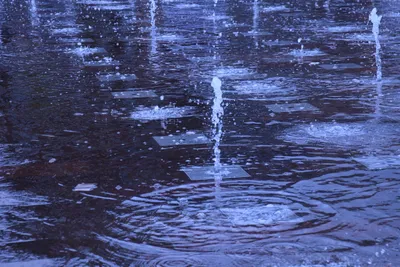 DSC_1603 (Large).JPG